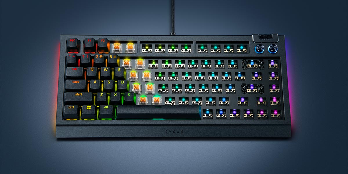 کیبورد-ریزر-BlackWidow-v4-75-Barebones