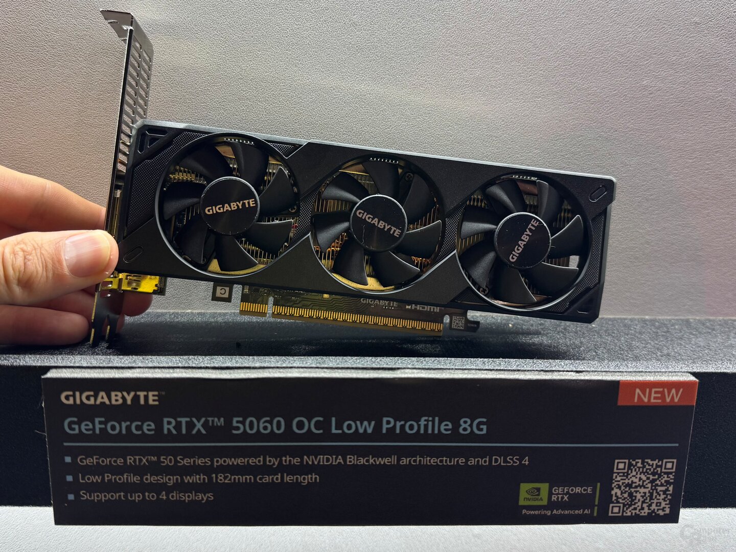 خرید کارت گرافیک GIGABYTE GeForce RTX 5060 OC Low Profile