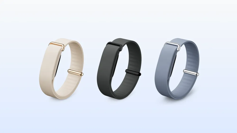 Fitbit Air