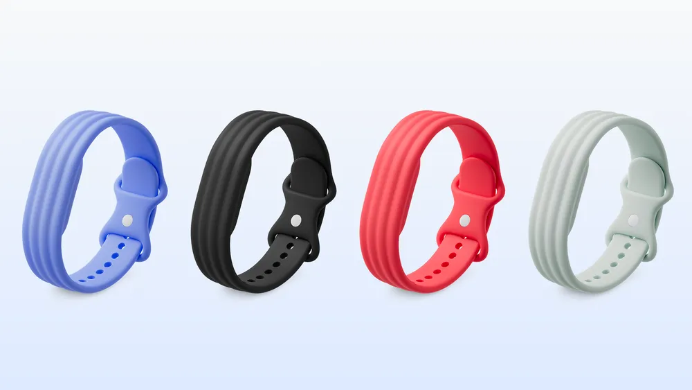 Fitbit Air